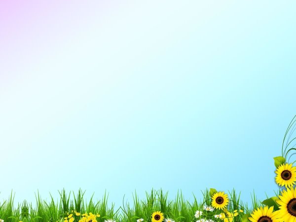 Летний фон для презентации