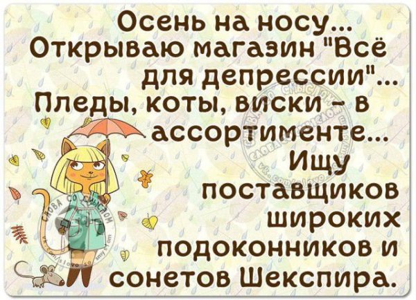 Смешные цитаты про конец лета