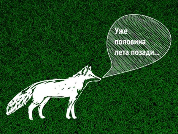 Половина лета позади