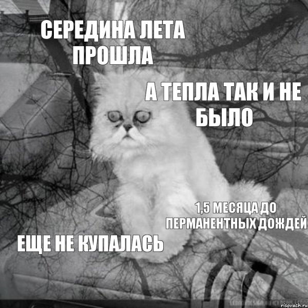 Середина лета прошла