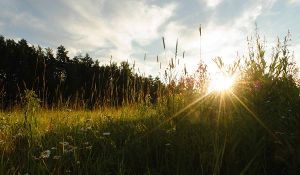 Середина лета