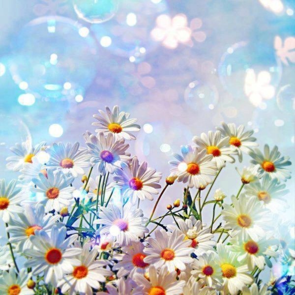 Открытки лето