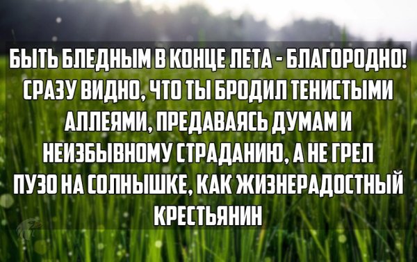Лето заканчивается цитаты