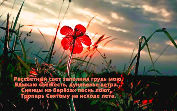 Лето на исходе стихи