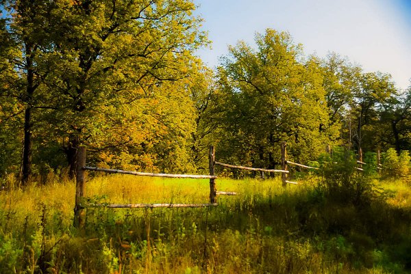 Осень на исходе