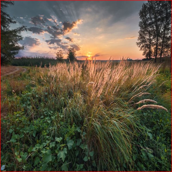 Лето на исходе картинки