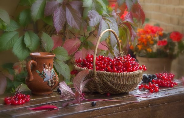 Лето на исходе