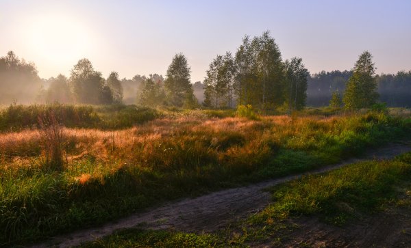 На исходе летнего дня