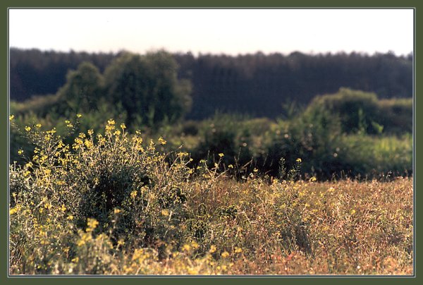 Лето на исходе