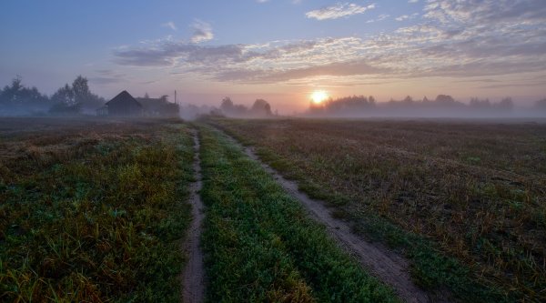 Исход картинки