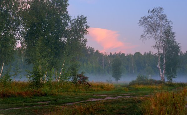 На исходе лета стихи