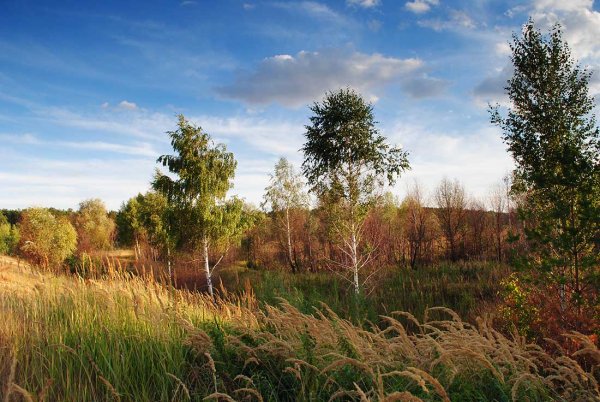 На исходе лета пейзаж