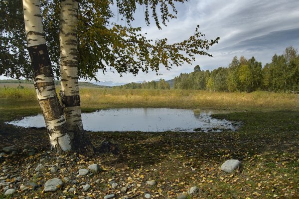 Лето на исходе