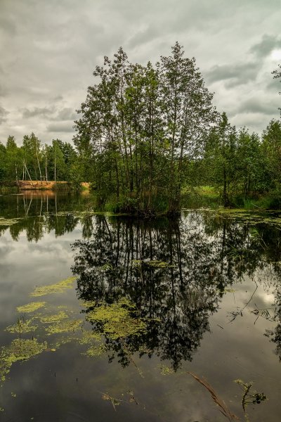Доброе утро Флора и фауна