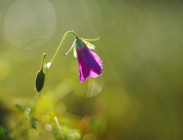 Август лето на исходе