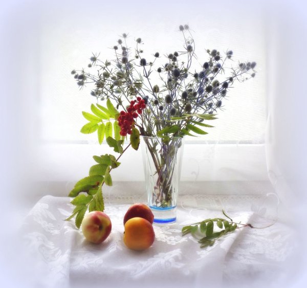 Август лето на исходе