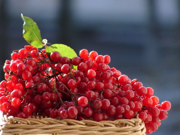 На исходе лета стихи