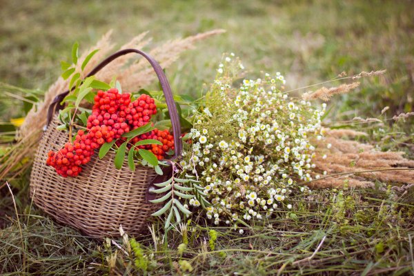 Лето на исходе