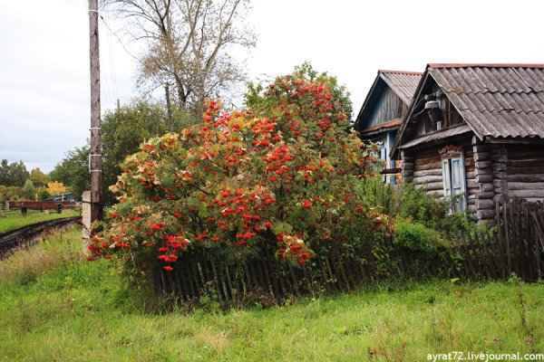 Лето на исходе стихи
