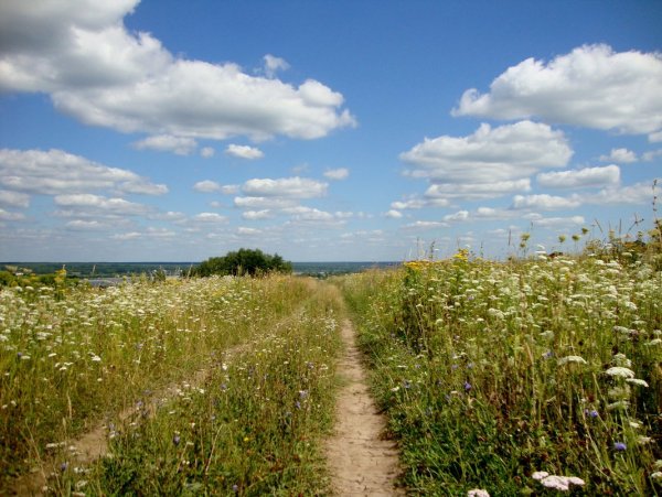 В июль катилось лето