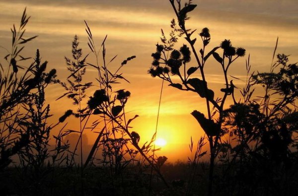 Чтобы лето не кончалось