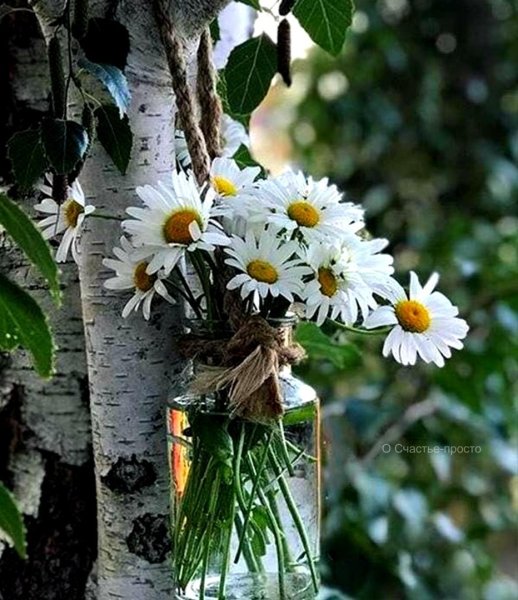 Открытки лето на исходе