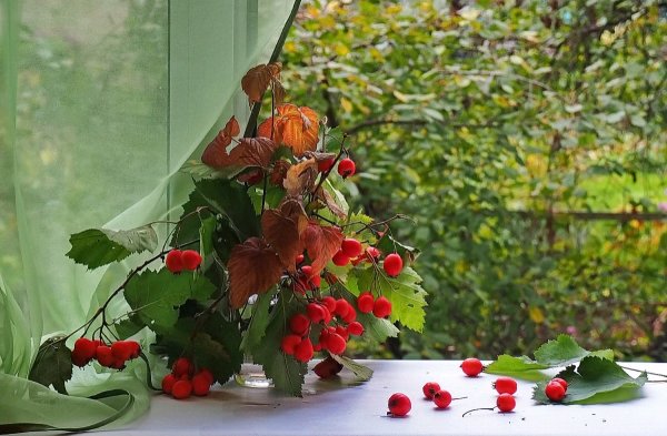 Уходит лето стихи