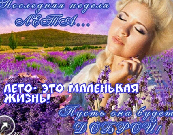 Открытки конец июля