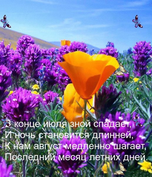 Красота уходящего лета