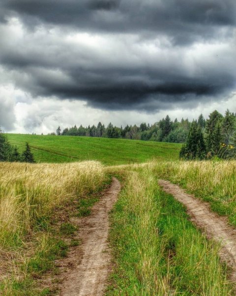 Стихи об уходящем лете