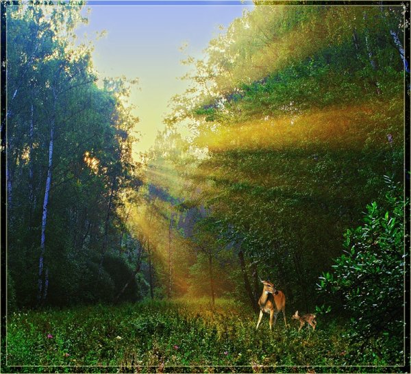 На исходе летнего дня