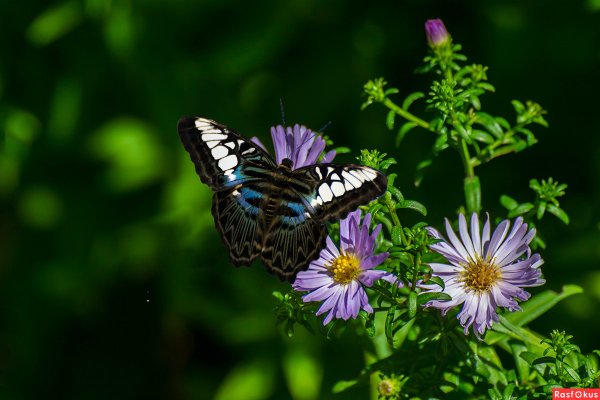 Август лето на исходе