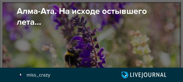 Лето на исходе картинки