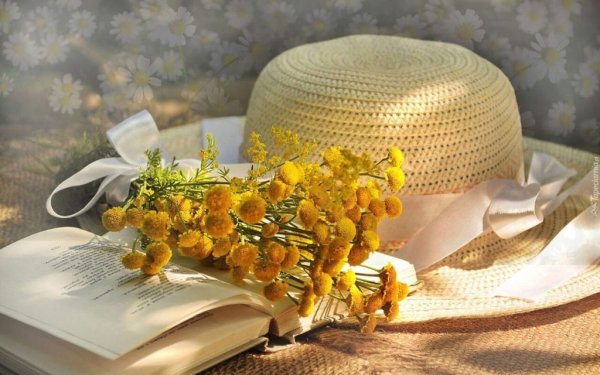 Природа дорог Ярославщины