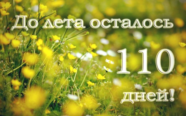 Неделя до конца лета