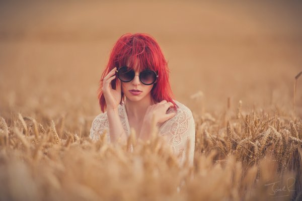 Девушки блондинки, рыжие и брюнетки закрывают волосы в летнем поле