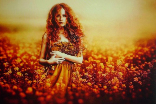 Рыжие девушки