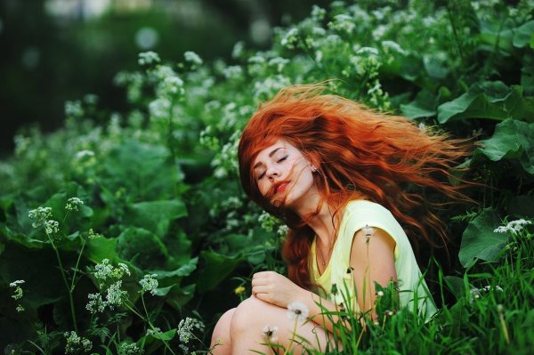 Рыжая кудрявая девушка со спины