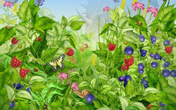 Поляна с ягодами