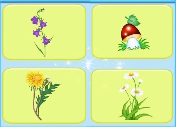 Дидактическая игра четвертый лишний