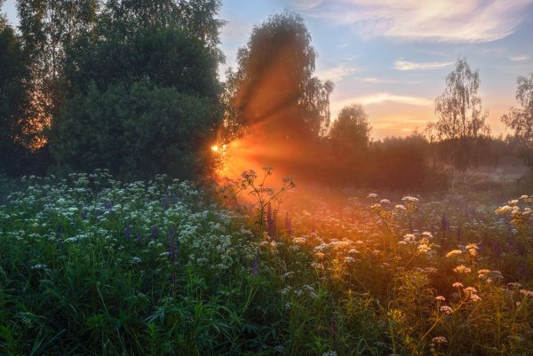 Храм отражение река Суздаль