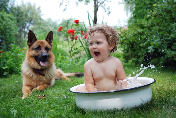 Животные в тазике