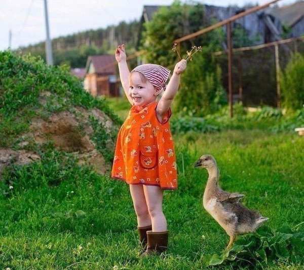 Доброе утро в деревне летом