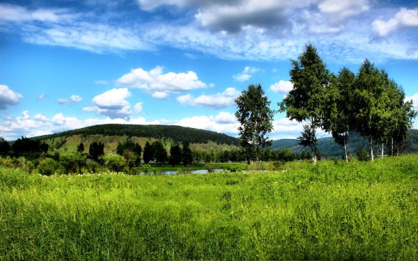 Красноярский край природа лето