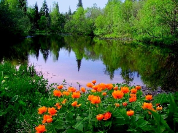 Евразия природа Евразии