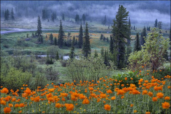 Озеро лес Башкирия