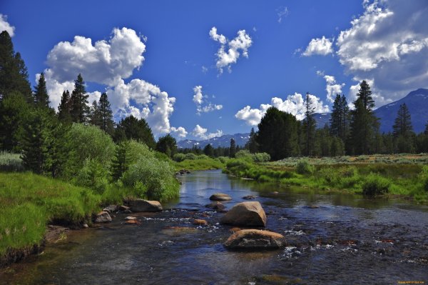 Березовая роща Кисловодск