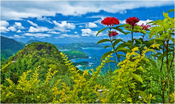 Растительность на Вершинах гор Средиземноморья