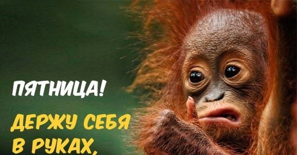 Вот и пятница пришла