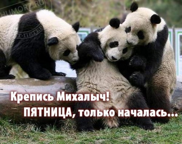 Поздравление с пятницей